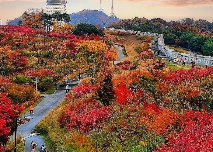 J Garden Myeongdong Station Appartement